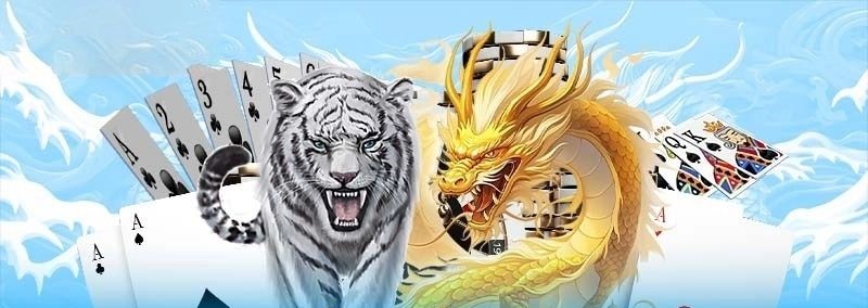 ภาพรวมของ Dragon Tiger DK7